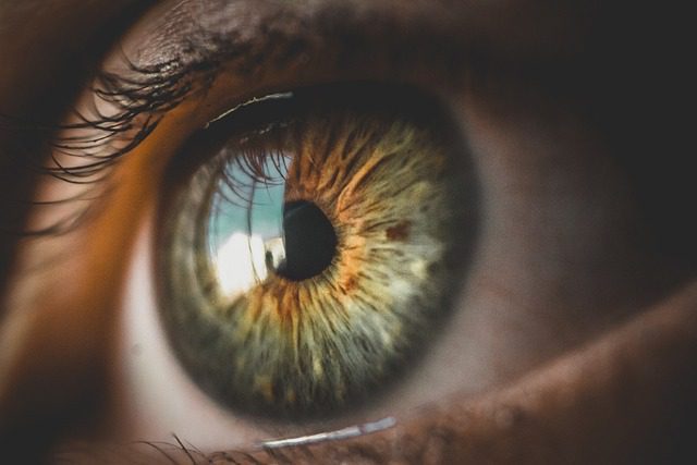 7 Kiat Efektif dan Ampuh untuk Merawat Retina Mata